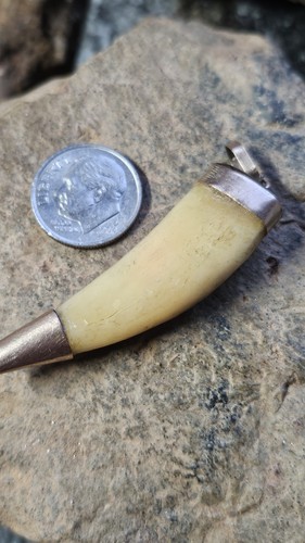 Victorian lions tooth style - victorian,